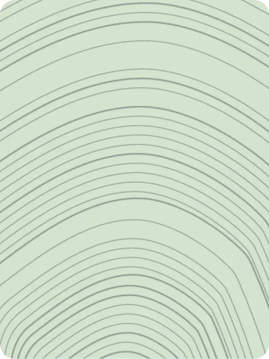 illustration of tree rings