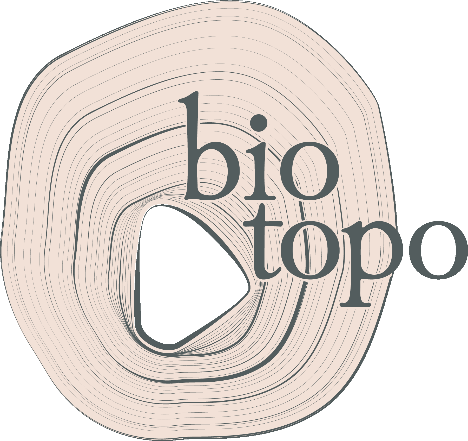 decorative image -logo animated in different colours